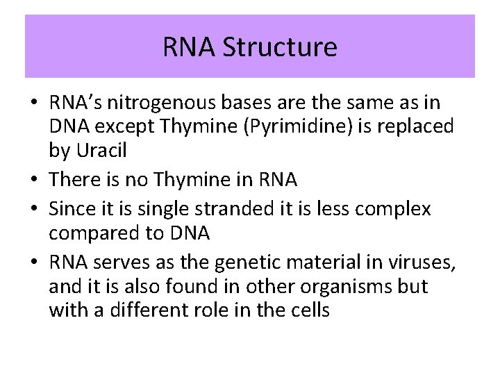 RNA Structure • RNA’s nitrogenous bases are the same as in DNA except Thymine