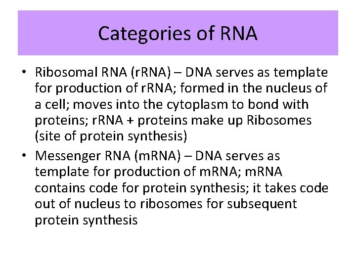 Categories of RNA • Ribosomal RNA (r. RNA) – DNA serves as template for