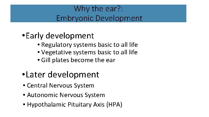 Why the ear? : Embryonic Development • Early development • Regulatory systems basic to