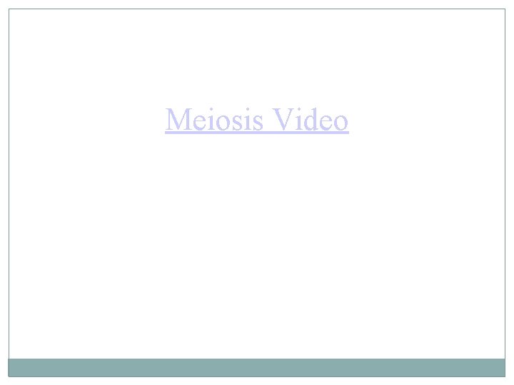 Meiosis Video 