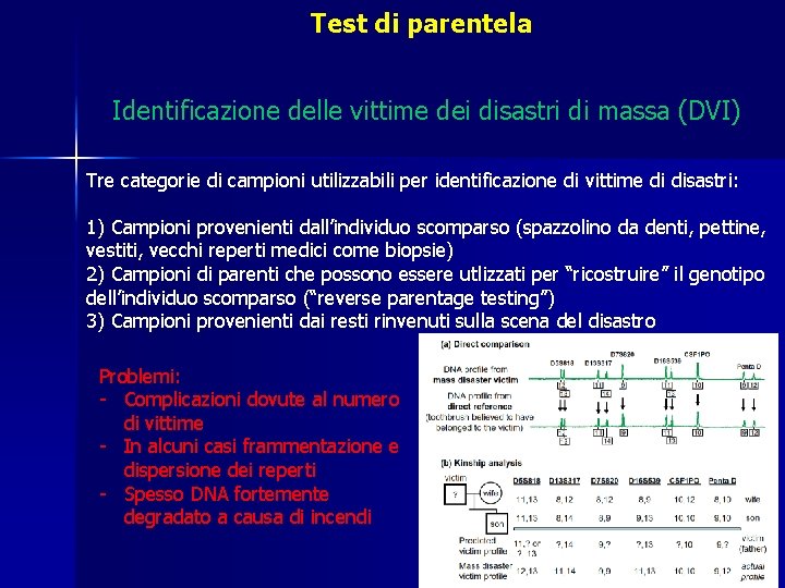 Test di parentela Identificazione delle vittime dei disastri di massa (DVI) Tre categorie di Test di parentela Identificazione delle vittime dei disastri di massa (DVI) Tre categorie di