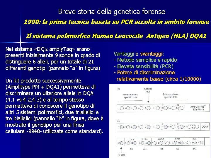 Breve storia della genetica forense 1990: la prima tecnica basata su PCR accolta in Breve storia della genetica forense 1990: la prima tecnica basata su PCR accolta in