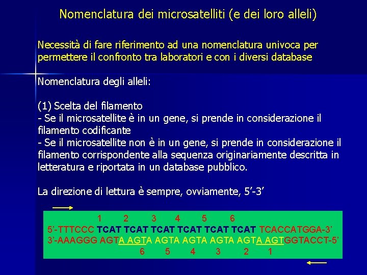 Nomenclatura dei microsatelliti (e dei loro alleli) Necessità di fare riferimento ad una nomenclatura Nomenclatura dei microsatelliti (e dei loro alleli) Necessità di fare riferimento ad una nomenclatura