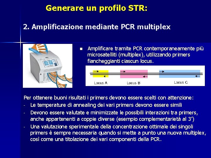 Generare un profilo STR: 2. Amplificazione mediante PCR multiplex n Amplificare tramite PCR contemporaneamente Generare un profilo STR: 2. Amplificazione mediante PCR multiplex n Amplificare tramite PCR contemporaneamente