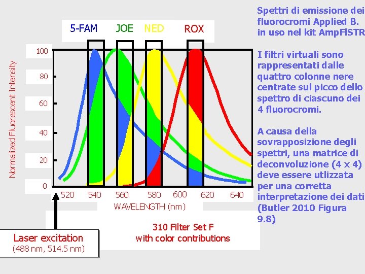5 -FAM JOE NED Spettri di emissione dei fluorocromi Applied B. in uso nel 5 -FAM JOE NED Spettri di emissione dei fluorocromi Applied B. in uso nel