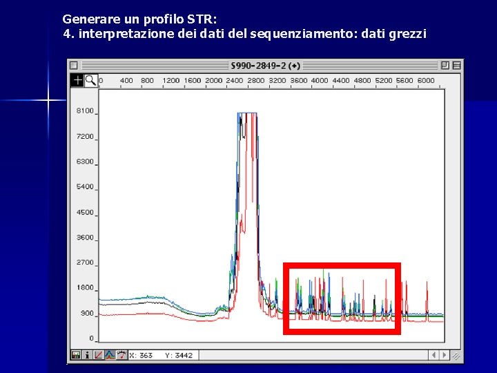 Generare un profilo STR: 4. interpretazione dei dati del sequenziamento: dati grezzi Generare un profilo STR: 4. interpretazione dei dati del sequenziamento: dati grezzi