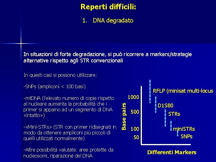 Reperti difficili: 1. DNA degradato In situazioni di forte degradazione, si può ricorrere a Reperti difficili: 1. DNA degradato In situazioni di forte degradazione, si può ricorrere a