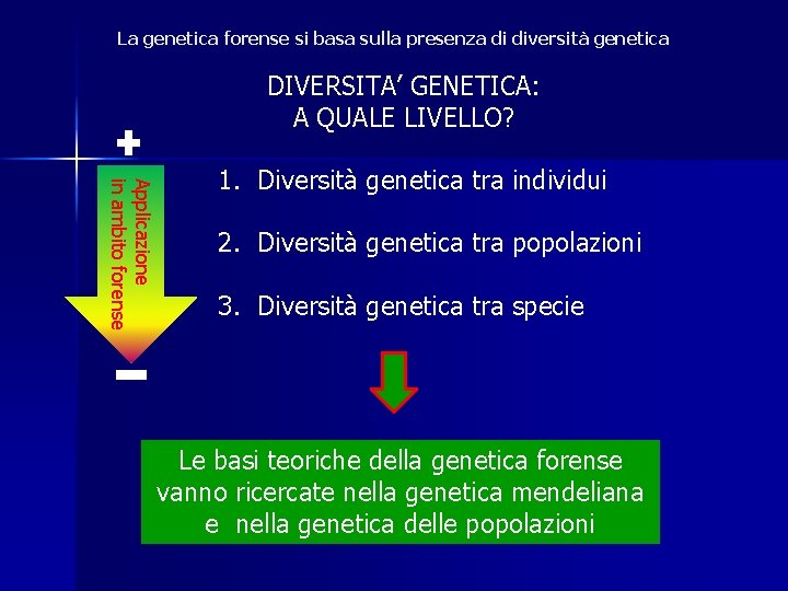 La genetica forense si basa sulla presenza di diversità genetica DIVERSITA’ GENETICA: A QUALE La genetica forense si basa sulla presenza di diversità genetica DIVERSITA’ GENETICA: A QUALE
