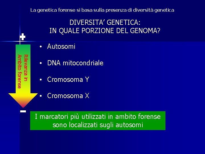 La genetica forense si basa sulla presenza di diversità genetica DIVERSITA’ GENETICA: IN QUALE La genetica forense si basa sulla presenza di diversità genetica DIVERSITA’ GENETICA: IN QUALE