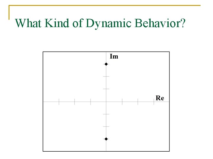 What Kind of Dynamic Behavior? 