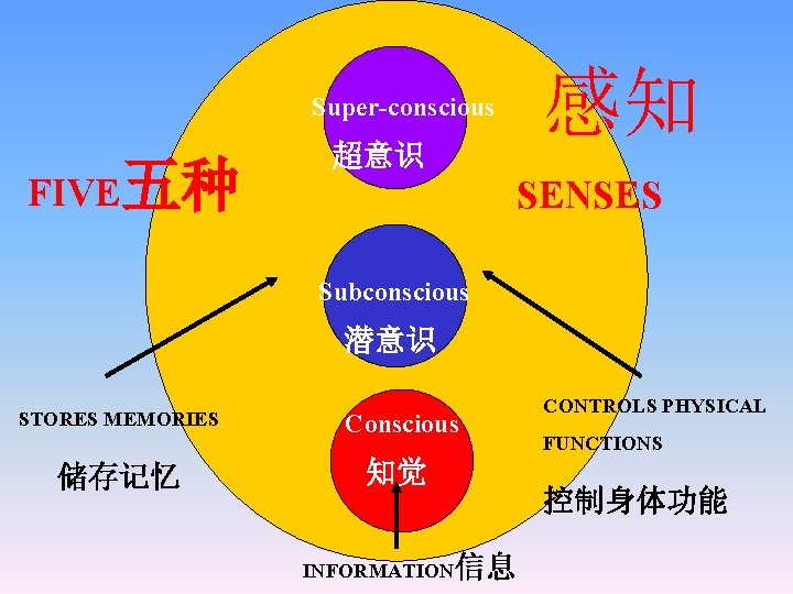 Super-conscious FIVE五种 超意识 感知 SENSES Subconscious 潜意识 STORES MEMORIES Conscious 储存记忆 知觉 INFORMATION信息 CONTROLS