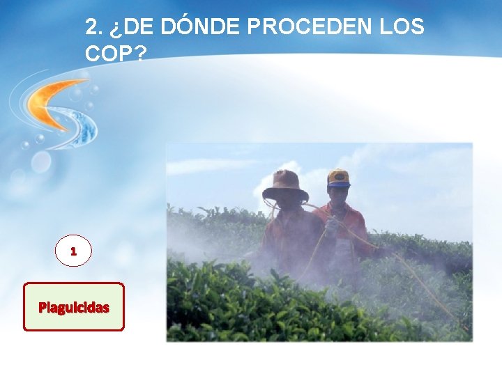 2. ¿DE DÓNDE PROCEDEN LOS COP? 1 Plaguicidas 