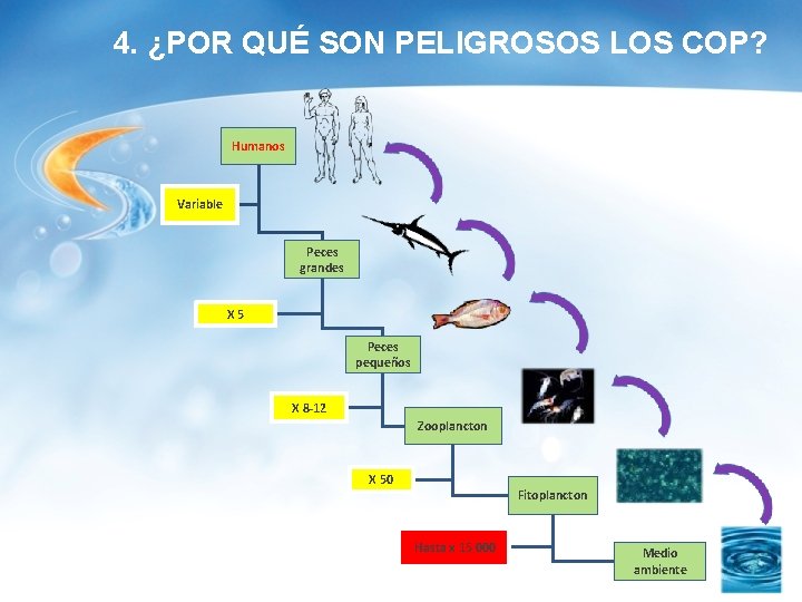 4. ¿POR QUÉ SON PELIGROSOS LOS COP? Humanos Variable Peces grandes X 5 Peces