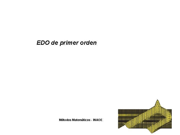 EDO de primer orden Métodos Matemáticos - INAOE 