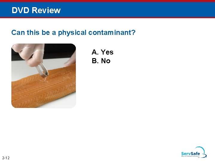 DVD Review Can this be a physical contaminant? A. Yes B. No 2 -12