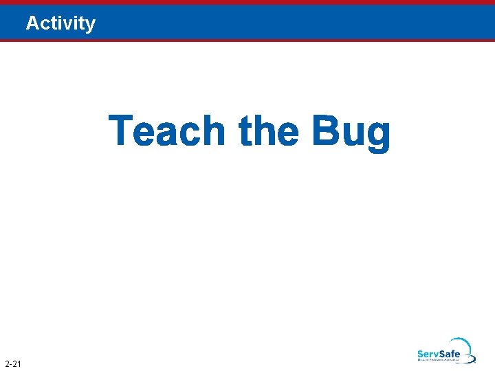 Activity Teach the Bug 2 -21 