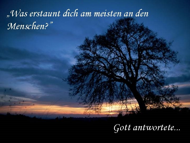 „Was erstaunt dich am meisten an den Menschen? ” Gott antwortete. . . 