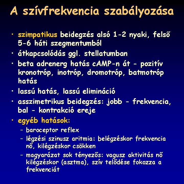 A szívfrekvencia szabályozása • szimpatikus beidegzés alsó 1 -2 nyaki, felső 5 -6 háti