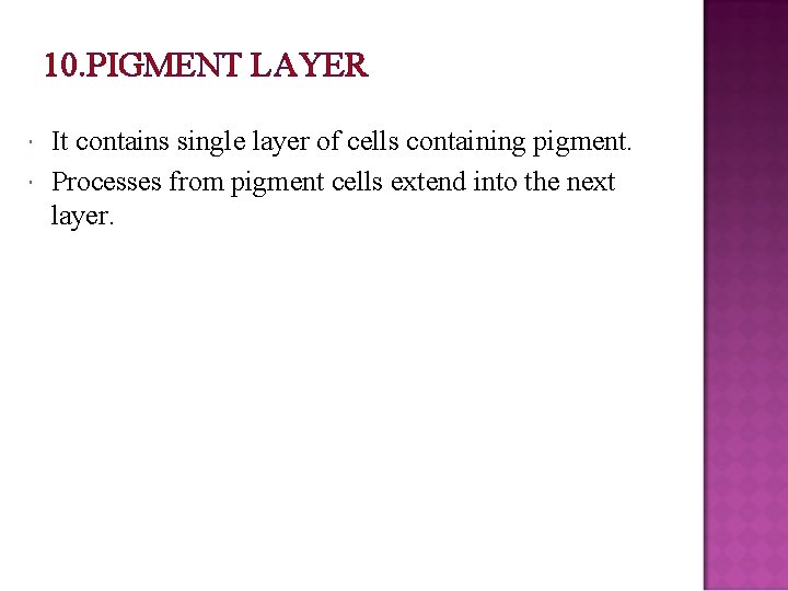 10. PIGMENT LAYER It contains single layer of cells containing pigment. Processes from pigment