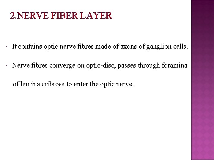 2. NERVE FIBER LAYER It contains optic nerve fibres made of axons of ganglion