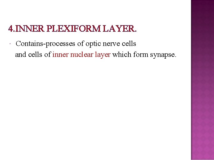 4. INNER PLEXIFORM LAYER. Contains-processes of optic nerve cells and cells of inner nuclear