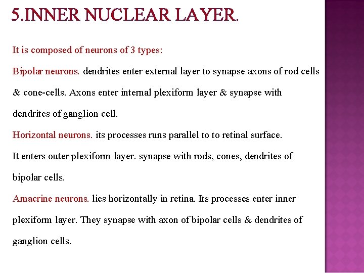 5. INNER NUCLEAR LAYER. It is composed of neurons of 3 types: Bipolar neurons.