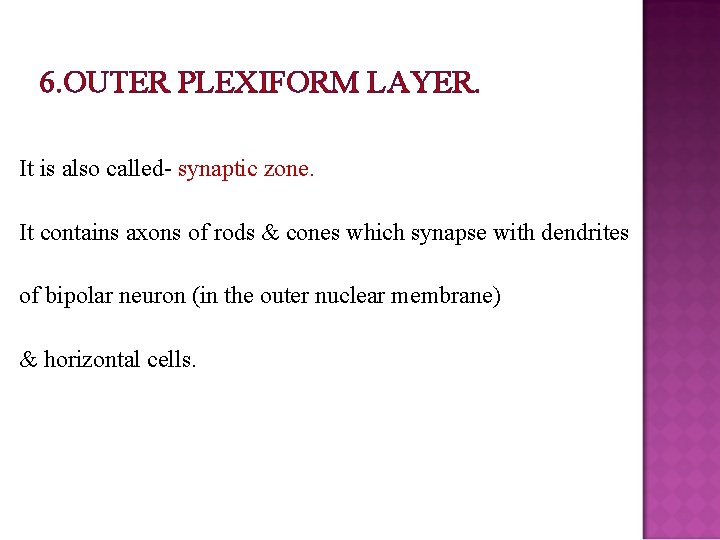 6. OUTER PLEXIFORM LAYER. It is also called- synaptic zone. It contains axons of