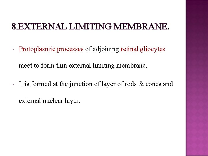 8. EXTERNAL LIMITING MEMBRANE. Protoplasmic processes of adjoining retinal gliocytes meet to form thin