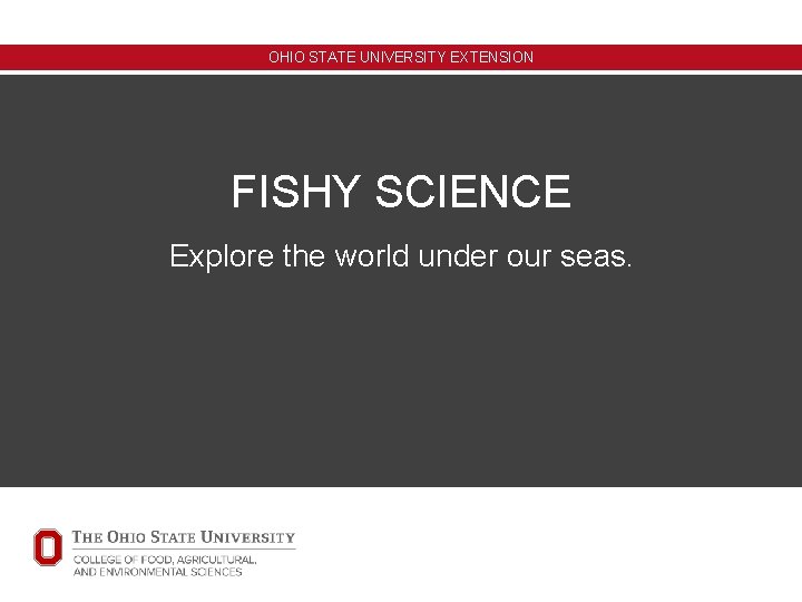 OHIO STATE UNIVERSITY EXTENSION FISHY SCIENCE Explore the world under our seas. OHIO STATE UNIVERSITY EXTENSION FISHY SCIENCE Explore the world under our seas.
