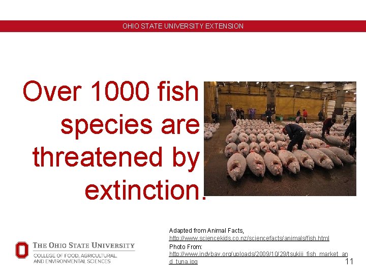 OHIO STATE UNIVERSITY EXTENSION Over 1000 fish species are threatened by extinction. Adapted from OHIO STATE UNIVERSITY EXTENSION Over 1000 fish species are threatened by extinction. Adapted from