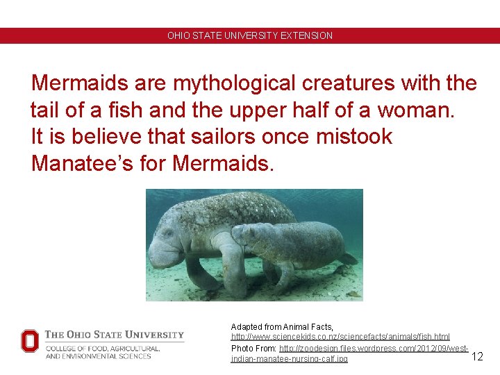 OHIO STATE UNIVERSITY EXTENSION Mermaids are mythological creatures with the tail of a fish OHIO STATE UNIVERSITY EXTENSION Mermaids are mythological creatures with the tail of a fish