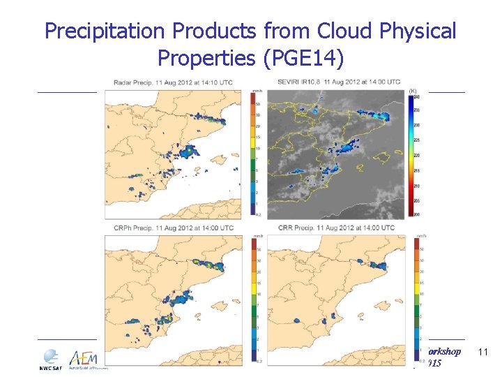 Precipitation Products from Cloud Physical Properties (PGE 14) NWCSAF 2015 Users Workshop 24 – Precipitation Products from Cloud Physical Properties (PGE 14) NWCSAF 2015 Users Workshop 24 –