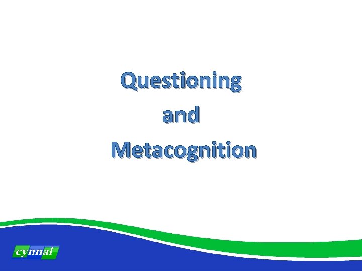 Questioning and Metacognition 