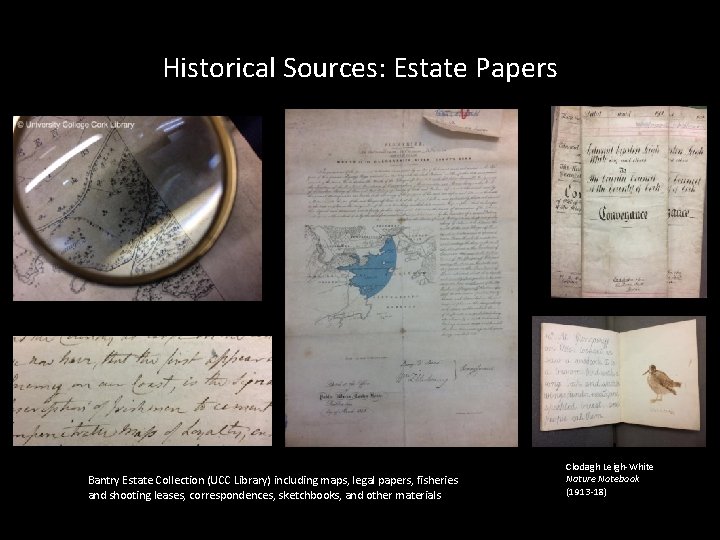 Historical Sources: Estate Papers Bantry Estate Collection (UCC Library) including maps, legal papers, fisheries