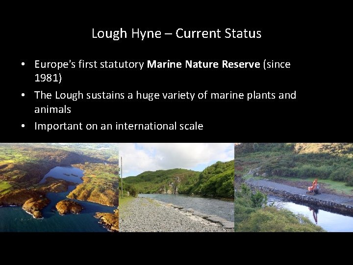 Lough Hyne – Current Status • Europe's first statutory Marine Nature Reserve (since 1981)