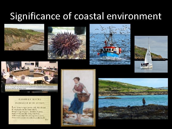 Significance of coastal environment 