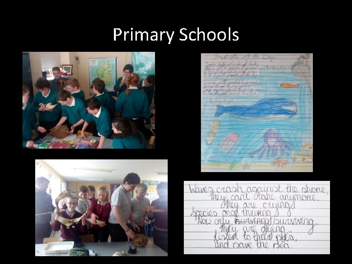 Primary Schools 