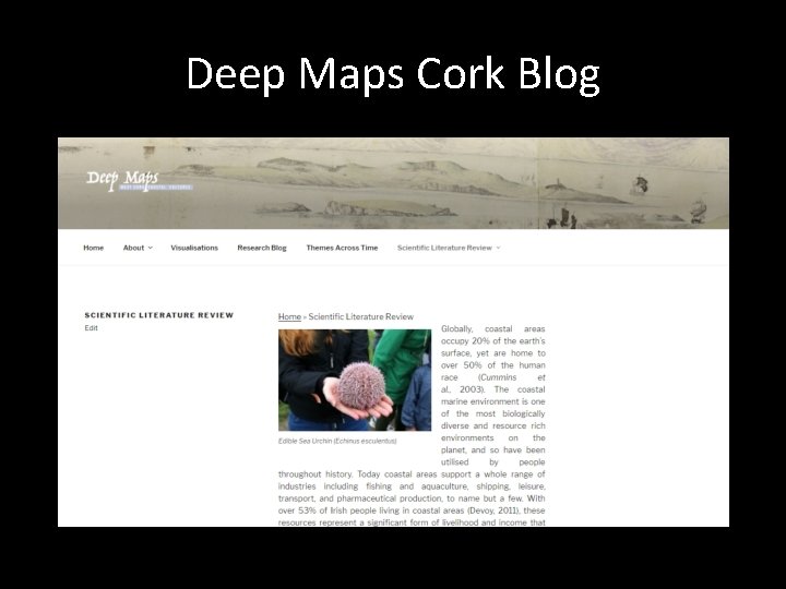 Deep Maps Cork Blog 