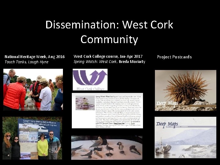 Dissemination: West Cork Community National Heritage Week, Aug 2016 Touch Tanks, Lough Hyne West