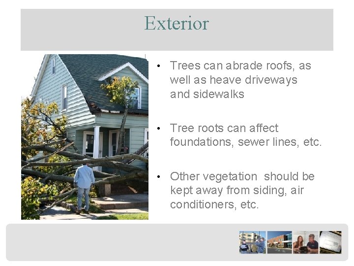 Exterior • Trees can abrade roofs, as well as heave driveways and sidewalks •