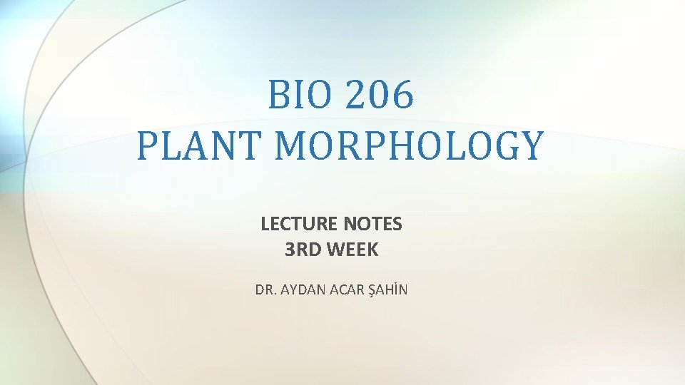 BIO 206 PLANT MORPHOLOGY LECTURE NOTES 3 RD WEEK DR. AYDAN ACAR ŞAHİN 