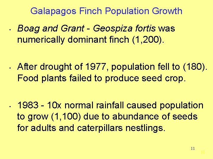 Galapagos Finch Population Growth • • • Boag and Grant - Geospiza fortis was