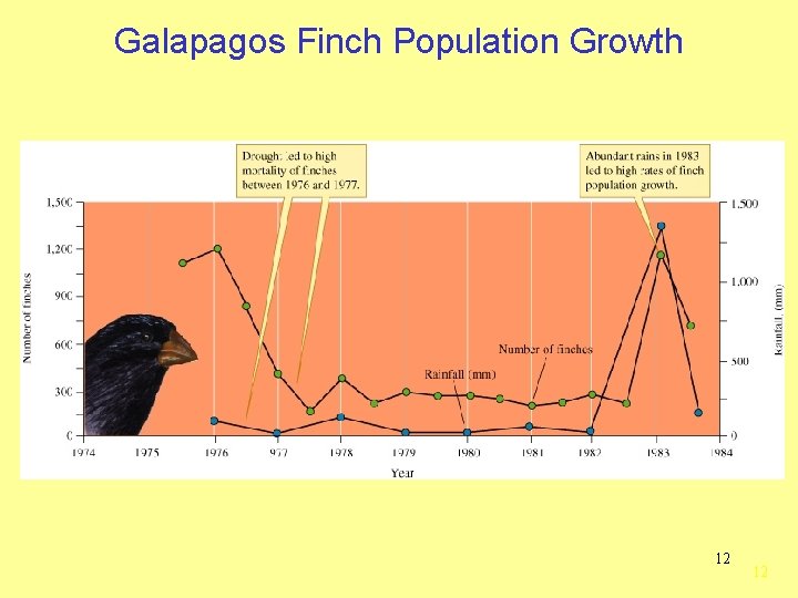 Galapagos Finch Population Growth 12 12 