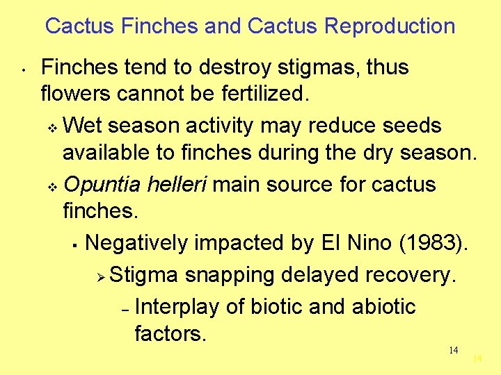 Cactus Finches and Cactus Reproduction • Finches tend to destroy stigmas, thus flowers cannot