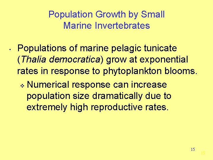 Population Growth by Small Marine Invertebrates • Populations of marine pelagic tunicate (Thalia democratica)