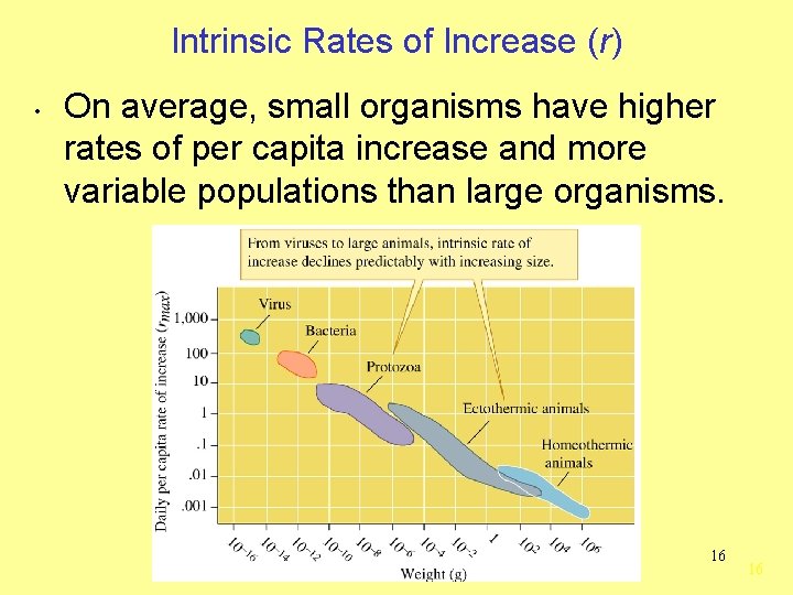 Intrinsic Rates of Increase (r) • On average, small organisms have higher rates of