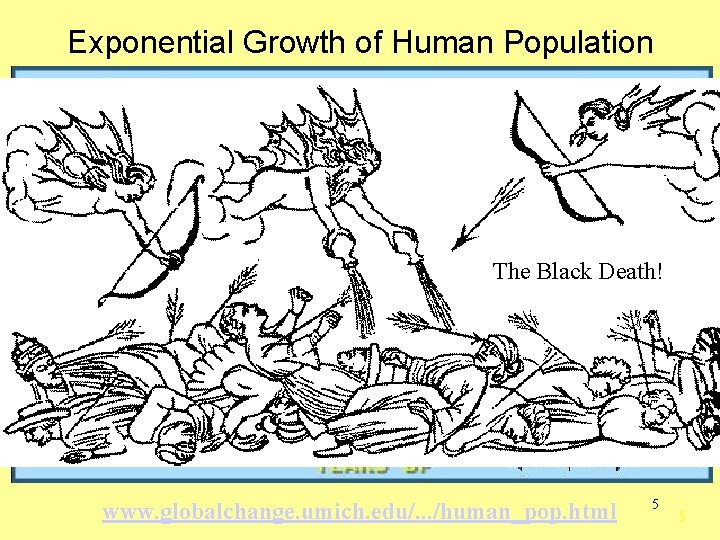 Exponential Growth of Human Population The Black Death! www. globalchange. umich. edu/. . .