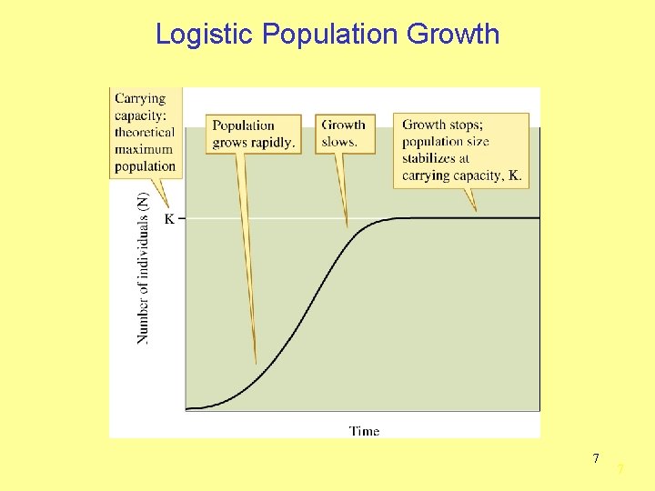 Logistic Population Growth 7 7 