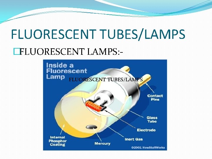 FLUORESCENT TUBES/LAMPS �FLUORESCENT LAMPS: FLUORESCENT TUBES/LAMPS 