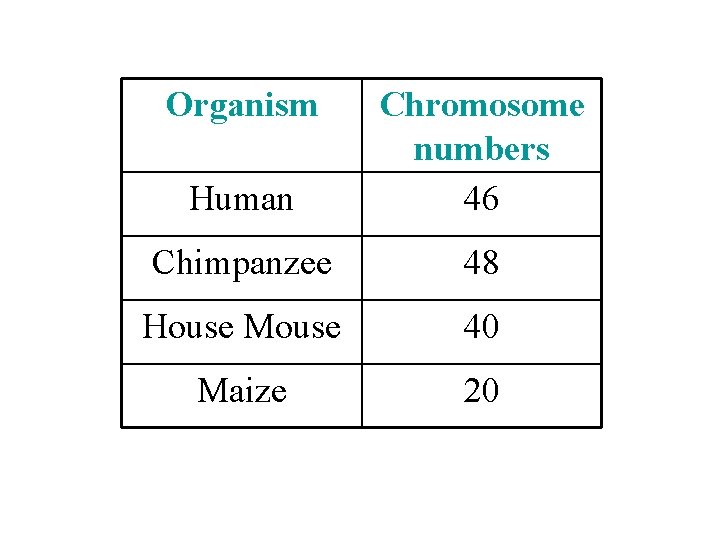 Organism Human Chromosome numbers 46 Chimpanzee 48 House Mouse 40 Maize 20 